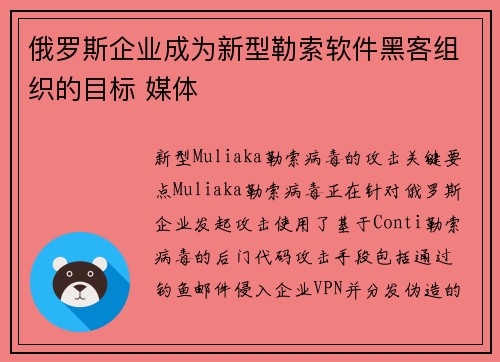 俄罗斯企业成为新型勒索软件黑客组织的目标 媒体